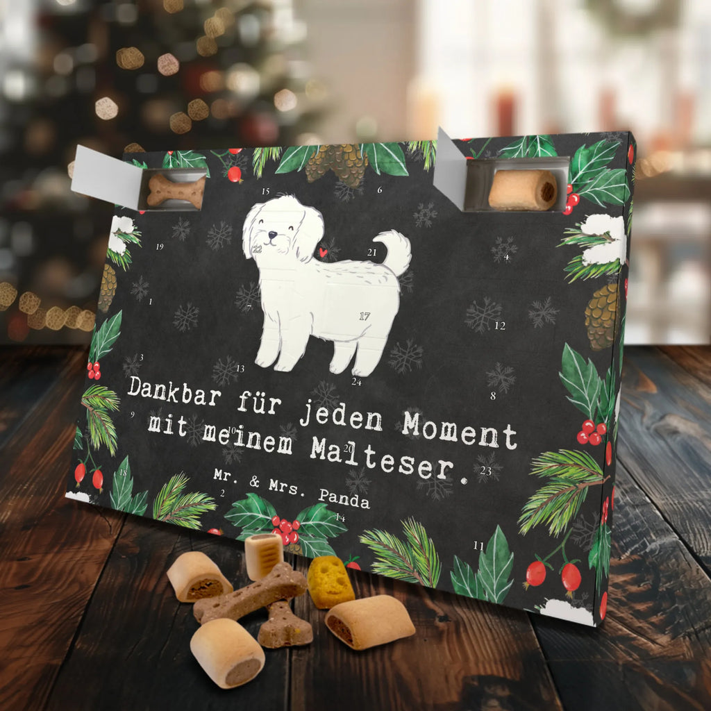 Dog advent calendar Maltese Moment Calendar, Christmas, Pets, Christmas Calendar, Dogs Advent Calendar, 2019, Dog, dog breed, purebred dog, dog owner, gift, animal lover, giving, puppy