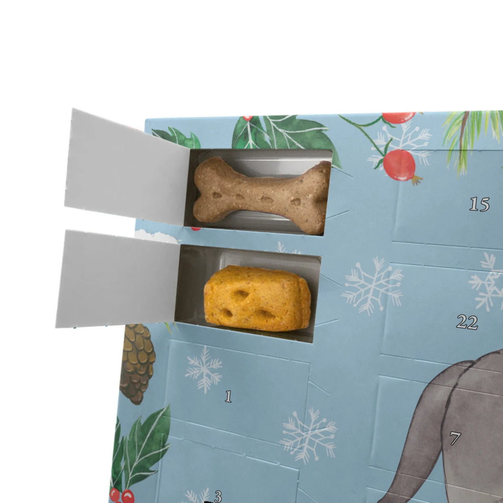  Nowofundland Chwila Pies, rasa psa, pies rasowy, właściciel psa, prezent, miłośnik zwierząt, dawanie, szczeniak