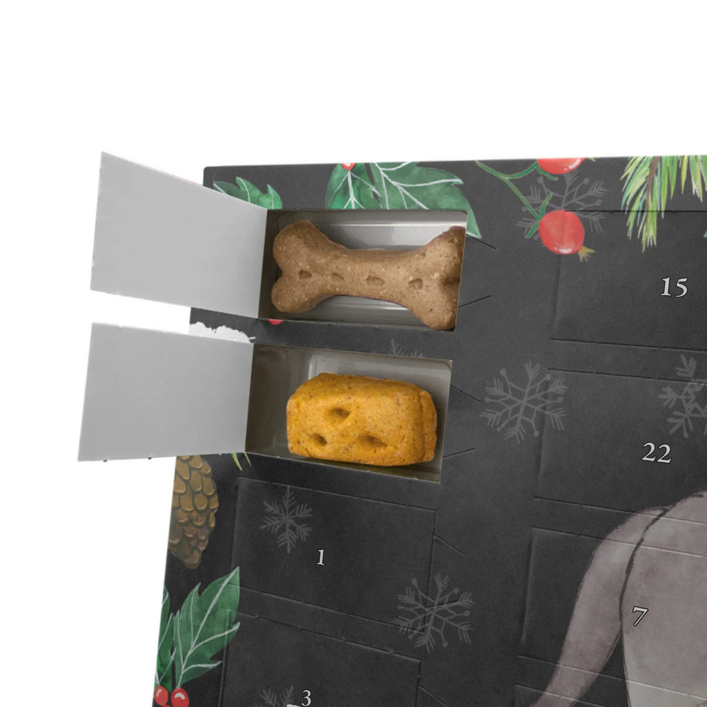  Nowofundland Chwila Pies, rasa psa, pies rasowy, właściciel psa, prezent, miłośnik zwierząt, dawanie, szczeniak