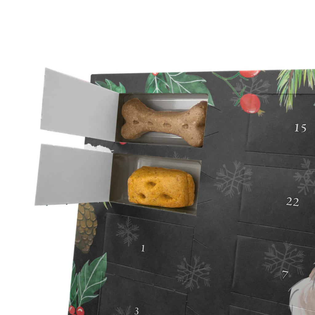 Dog advent calendar Butterfly Moment Christmas, 2019, Christmas Calendar, Calendar, Pets, Dogs Advent Calendar, Dog, dog breed, purebred dog, dog owner, gift, animal lover, giving, puppy