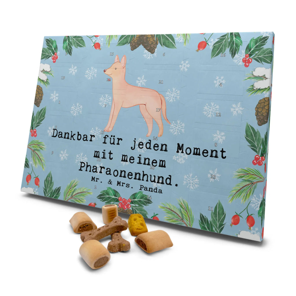 Dog advent calendar Pharaoh Hound Moment Pets, Christmas, Calendar, 2019, Christmas Calendar, Dogs Advent Calendar, Dog, dog breed, purebred dog, dog owner, gift, animal lover, giving, puppy