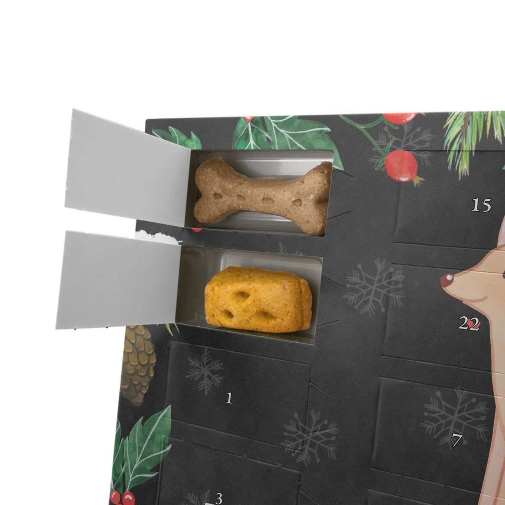 Dog advent calendar Pharaoh Hound Moment Pets, Christmas, Calendar, 2019, Christmas Calendar, Dogs Advent Calendar, Dog, dog breed, purebred dog, dog owner, gift, animal lover, giving, puppy