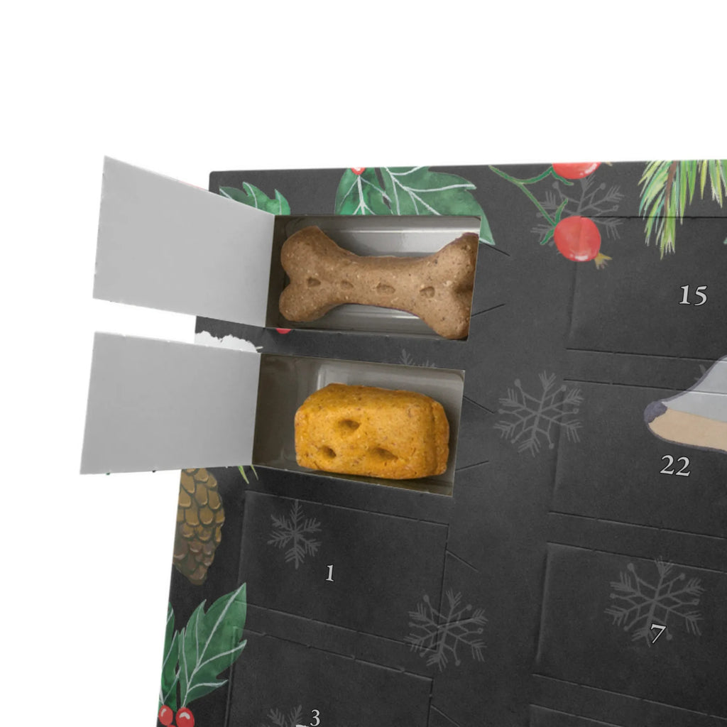 Hunde Adventskalender Dobermann Pinscher Moment Hunde Adventskalender, Weihnachtskalender, Adventskalender für Hunde, Kalender, Geschenk, Schenken, Hund, Hunderasse, Rassehund, Hundebesitzer, Tierfreund, Welpe, Dobermann Pinscher