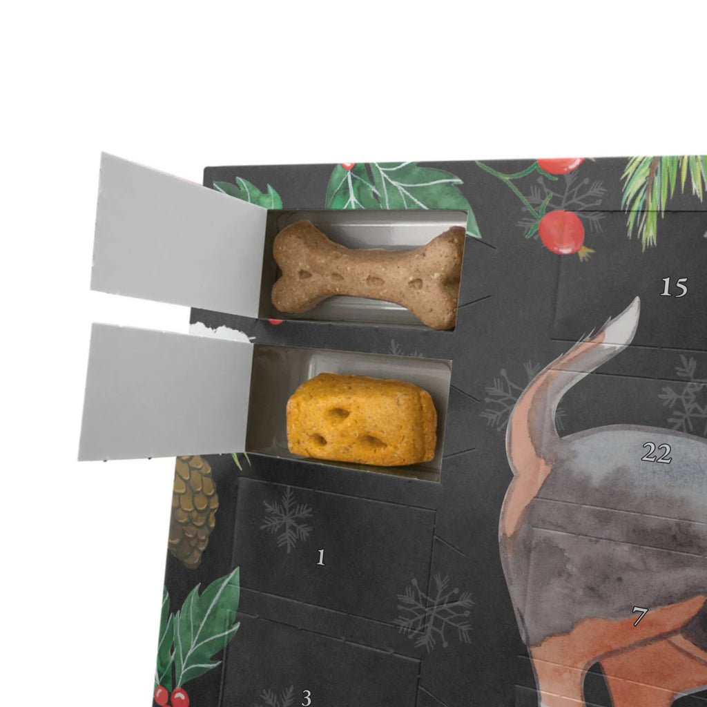 Dog advent calendar Basset Hound Moment 2019, Pets, Christmas, Dogs Advent Calendar, Christmas Calendar, Calendar, Dog, dog breed, purebred dog, dog owner, gift, animal lover, giving, puppy