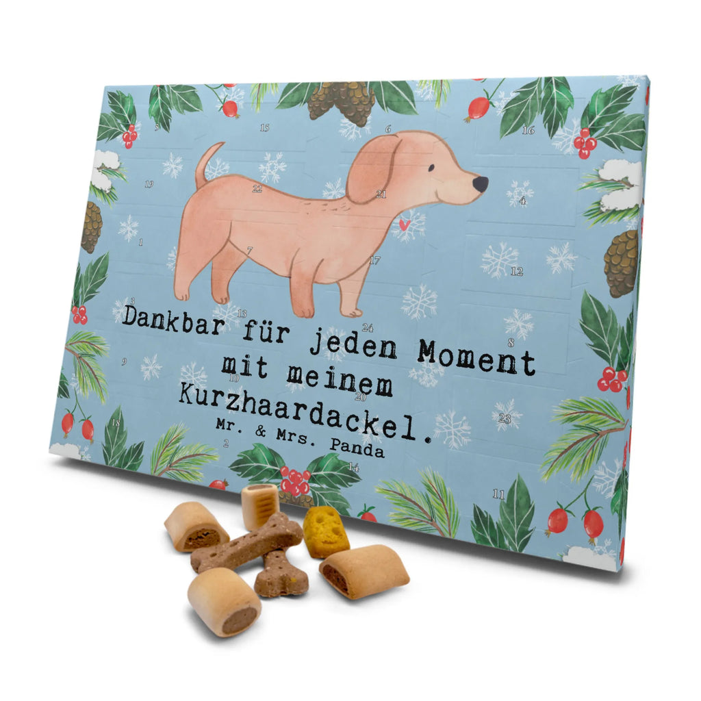 Hunde Adventskalender Dackel Kurzhaardackel Moment Weihnachtskalender, Kalender, Adventskalender für Hunde, Hunde Adventskalender, Geschenk, Schenken, Hund, Hunderasse, Rassehund, Hundebesitzer, Tierfreund, Welpe, Kurzhaardackel, Teckel, Dachshund