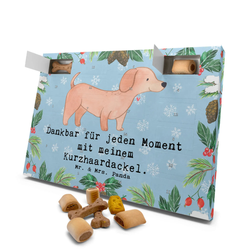 Hunde Adventskalender Dackel Kurzhaardackel Moment Weihnachtskalender, Kalender, Adventskalender für Hunde, Hunde Adventskalender, Geschenk, Schenken, Hund, Hunderasse, Rassehund, Hundebesitzer, Tierfreund, Welpe, Kurzhaardackel, Teckel, Dachshund