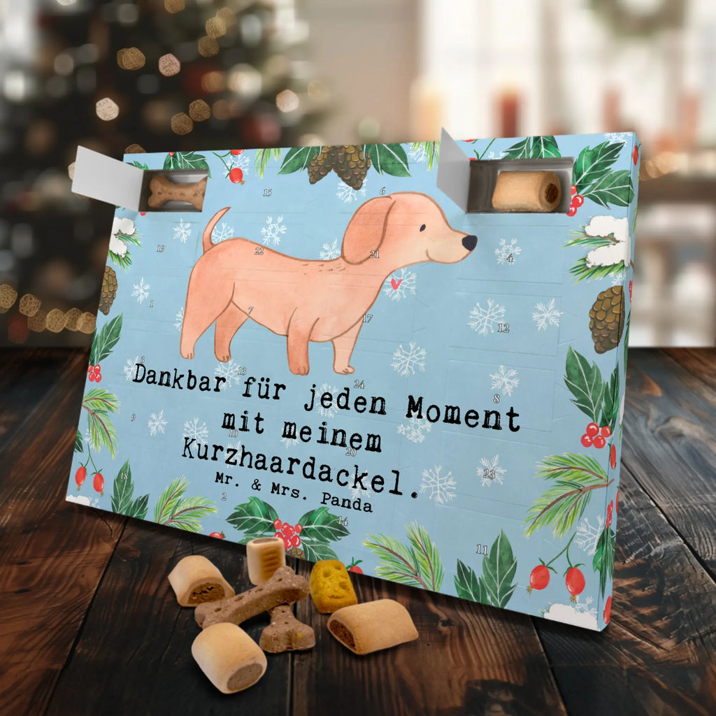 Hunde Adventskalender Dackel Kurzhaardackel Moment Weihnachtskalender, Kalender, Adventskalender für Hunde, Hunde Adventskalender, Geschenk, Schenken, Hund, Hunderasse, Rassehund, Hundebesitzer, Tierfreund, Welpe, Kurzhaardackel, Teckel, Dachshund