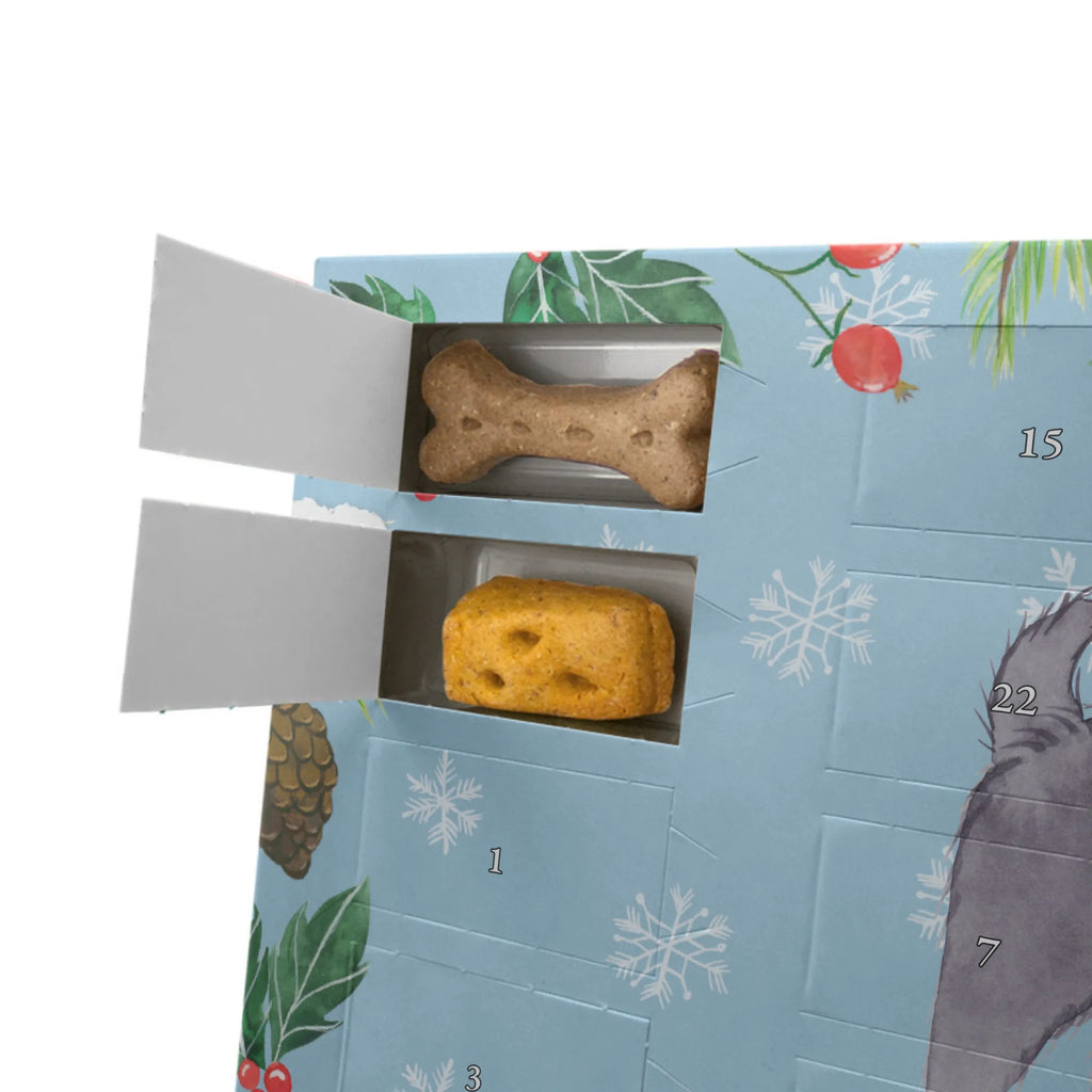 Dog advent calendar Schipperke moment Christmas Calendar, Dogs Advent Calendar, Pets, Calendar, 2019, Christmas, Dog, dog breed, purebred dog, dog owner, gift, animal lover, giving, puppy