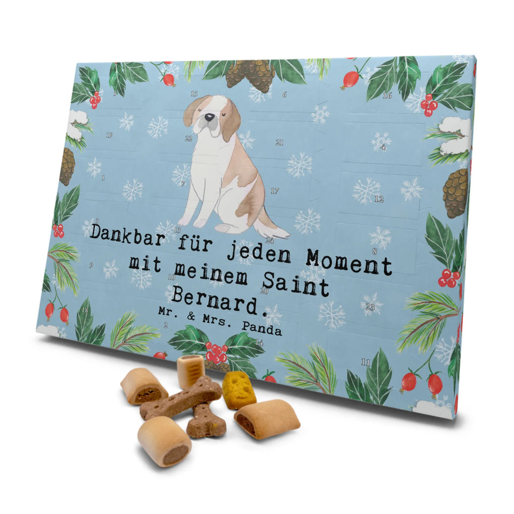  Bernardyn Chwila Hunde Adventskalender, Weihnachtskalender, Adventskalender für Hunde, Kalender, Geschenk, Schenken, Hund, Hunderasse, Rassehund, Hundebesitzer, Tierfreund, Welpe, Chien Du Saint-Bernard, Saint Bernard, Perro San Bernardo, Saint Bernard Dog, St. Bernhardshund