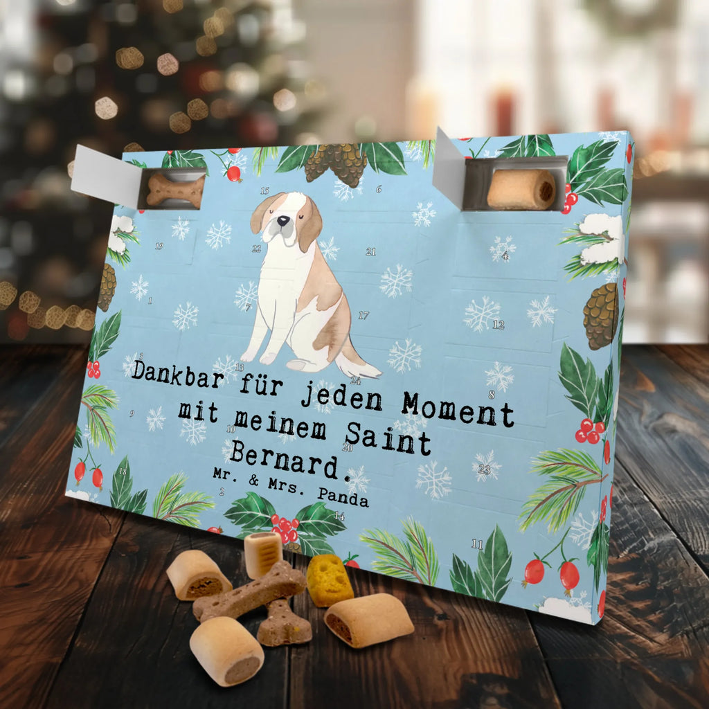  Bernardyn Chwila Hunde Adventskalender, Weihnachtskalender, Adventskalender für Hunde, Kalender, Geschenk, Schenken, Hund, Hunderasse, Rassehund, Hundebesitzer, Tierfreund, Welpe, Chien Du Saint-Bernard, Saint Bernard, Perro San Bernardo, Saint Bernard Dog, St. Bernhardshund
