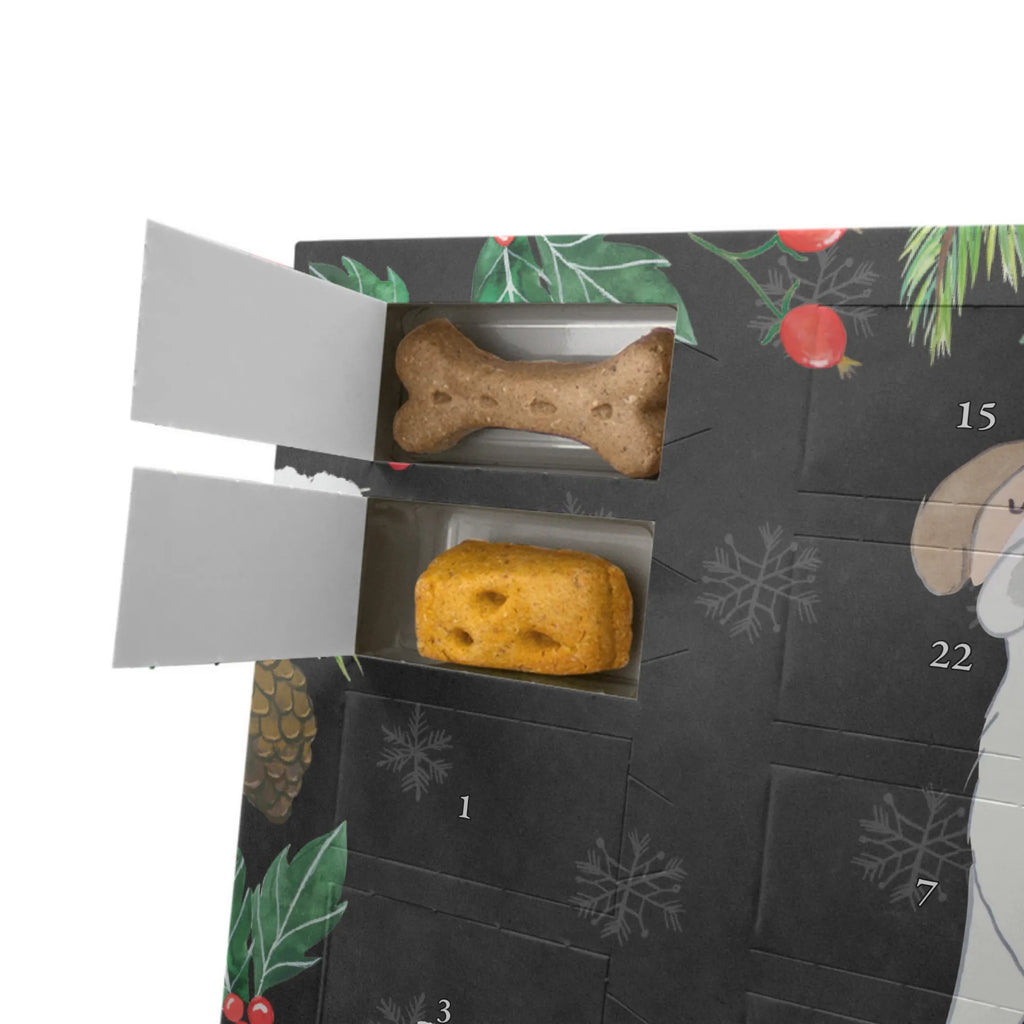  Bernardyn Chwila Hunde Adventskalender, Weihnachtskalender, Adventskalender für Hunde, Kalender, Geschenk, Schenken, Hund, Hunderasse, Rassehund, Hundebesitzer, Tierfreund, Welpe, Chien Du Saint-Bernard, Saint Bernard, Perro San Bernardo, Saint Bernard Dog, St. Bernhardshund