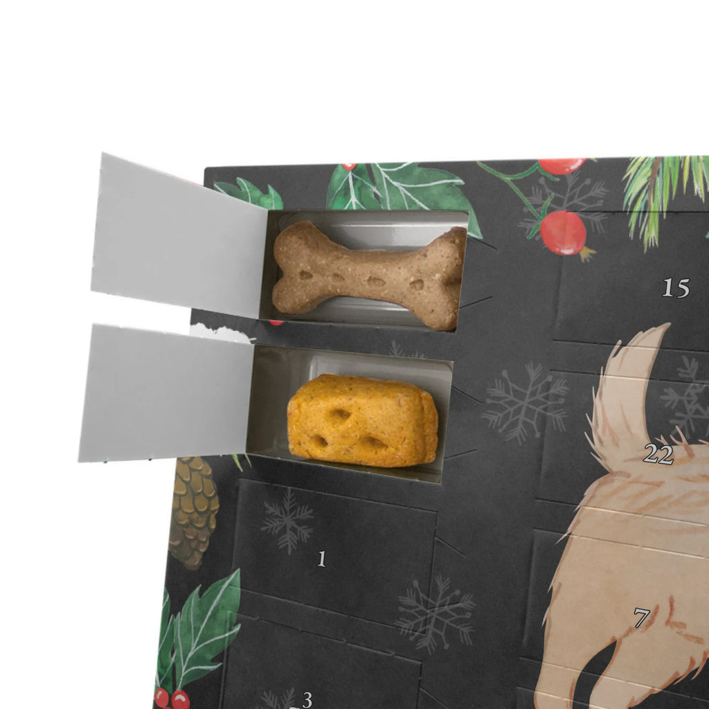 Dog advent calendar Cairn Terrier Moment Weihnachtskalender, Kalender, Adventskalender für Hunde, Hunde Adventskalender, Geschenk, Schenken, Hund, Hunderasse, Rassehund, Hundebesitzer, Tierfreund, Welpe, Cairn Terrier