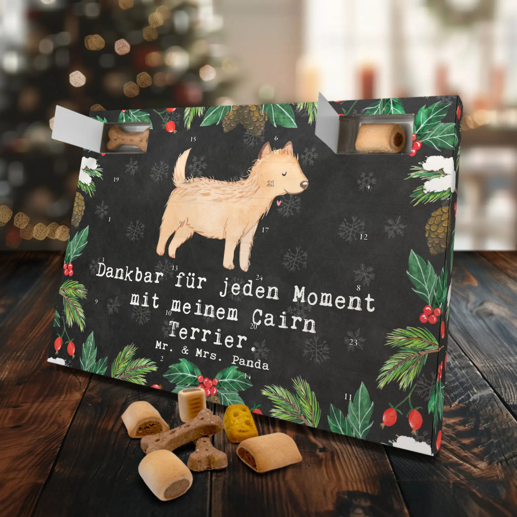 Dog advent calendar Cairn Terrier Moment Weihnachtskalender, Kalender, Adventskalender für Hunde, Hunde Adventskalender, Geschenk, Schenken, Hund, Hunderasse, Rassehund, Hundebesitzer, Tierfreund, Welpe, Cairn Terrier