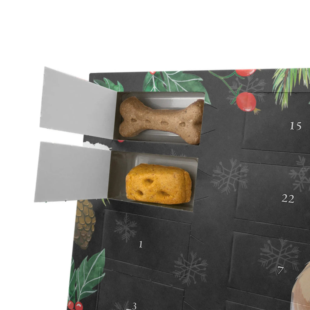Dog advent calendar Long-haired Collie Moment Kalender, Adventskalender für Hunde, Hunde Adventskalender, Weihnachtskalender, Geschenk, Schenken, Hund, Hunderasse, Rassehund, Hundebesitzer, Tierfreund, Welpe, Langhaar Collie, Britischer Hütehund