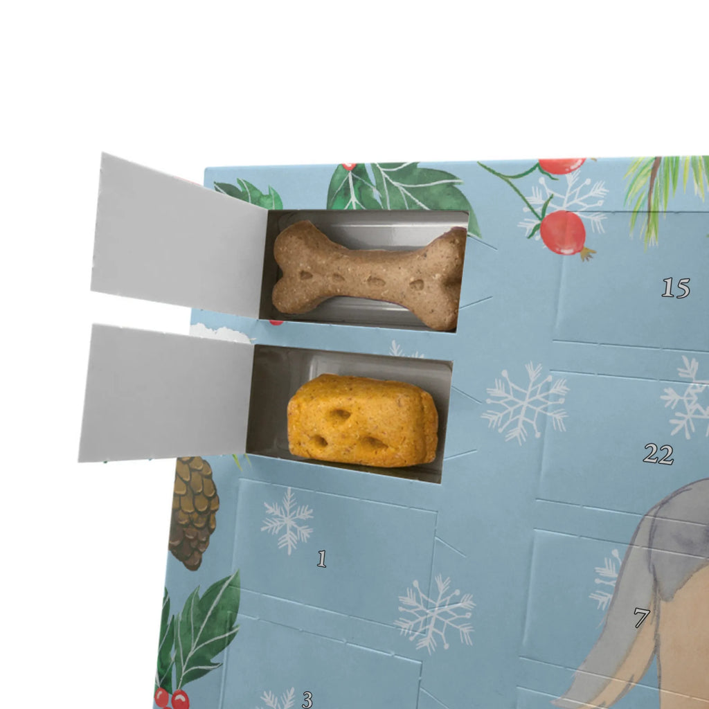 Dog advent calendar Shetland Sheepdog moment Weihnachtskalender, Kalender, Hunde Adventskalender, Adventskalender für Hunde, Geschenk, Schenken, Hund, Hunderasse, Rassehund, Hundebesitzer, Tierfreund, Welpe, Shetland Sheepdog, Sheltie