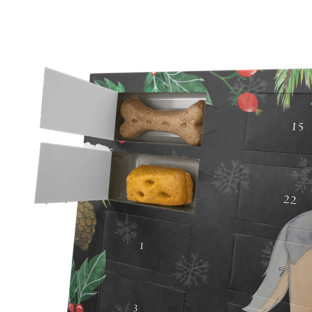 Dog advent calendar Shetland Sheepdog moment Weihnachtskalender, Kalender, Hunde Adventskalender, Adventskalender für Hunde, Geschenk, Schenken, Hund, Hunderasse, Rassehund, Hundebesitzer, Tierfreund, Welpe, Shetland Sheepdog, Sheltie