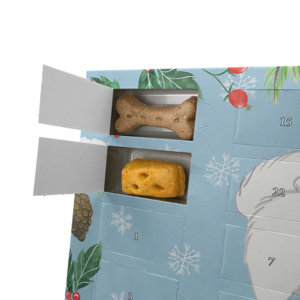 Dog advent calendar Peak moment Dogs Advent Calendar, Pets, gift, animal lover, giving, dog breed, purebred dog, dog owner, puppy
