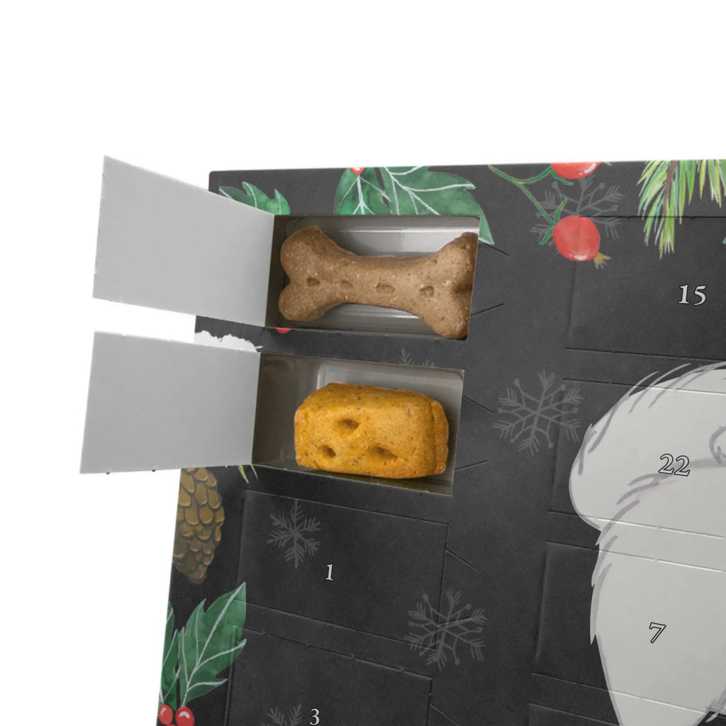 Dog advent calendar Peak moment Dogs Advent Calendar, Pets, gift, animal lover, giving, dog breed, purebred dog, dog owner, puppy