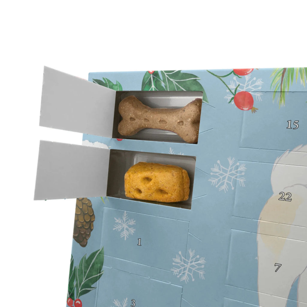Dog advent calendar Thai Bangkaew Moment Adventskalender für Hunde, Weihnachtskalender, Hunde Adventskalender, Kalender, Geschenk, Schenken, Hund, Hunderasse, Rassehund, Hundebesitzer, Tierfreund, Welpe, Thai Bangkaew Dog