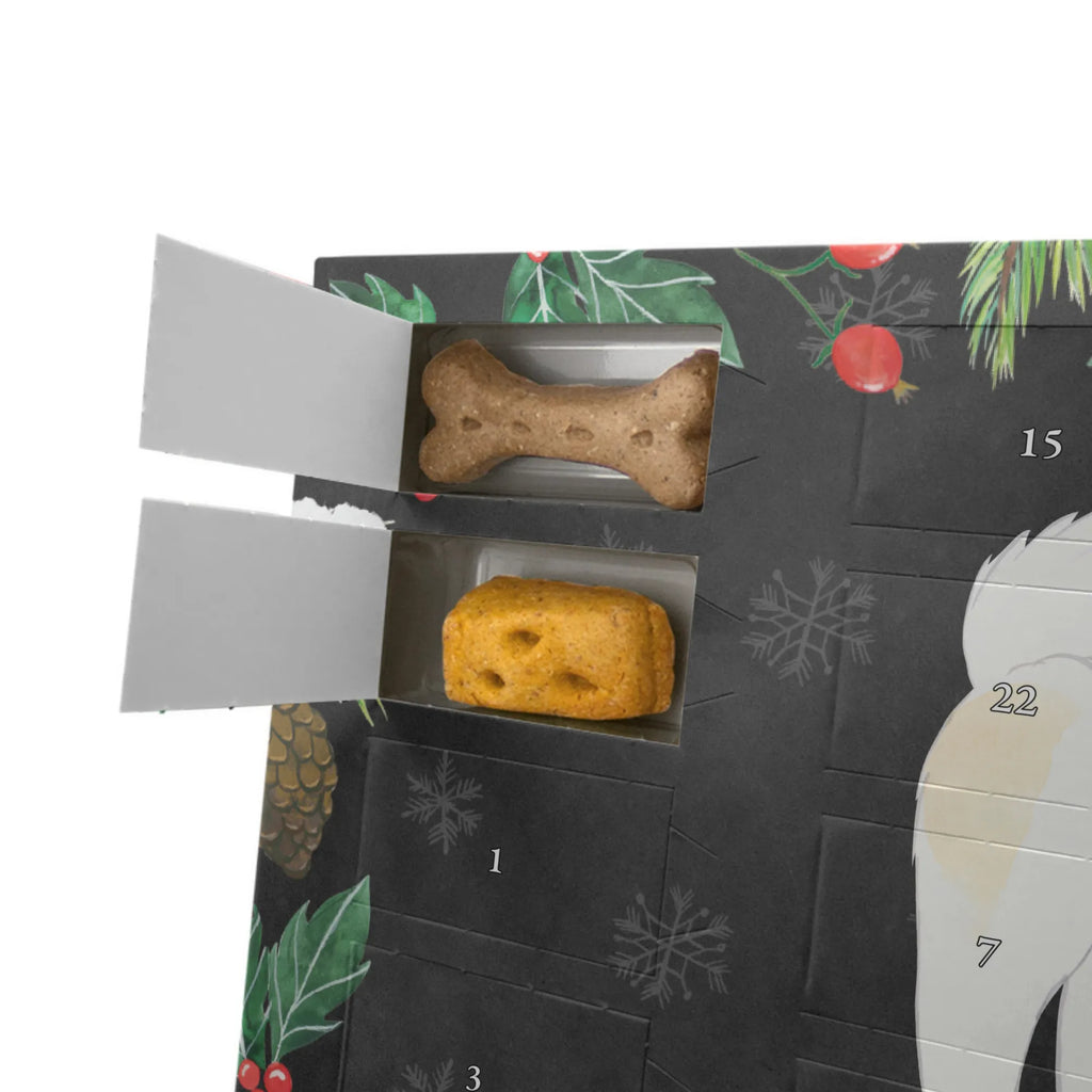 Dog advent calendar Thai Bangkaew Moment Adventskalender für Hunde, Weihnachtskalender, Hunde Adventskalender, Kalender, Geschenk, Schenken, Hund, Hunderasse, Rassehund, Hundebesitzer, Tierfreund, Welpe, Thai Bangkaew Dog