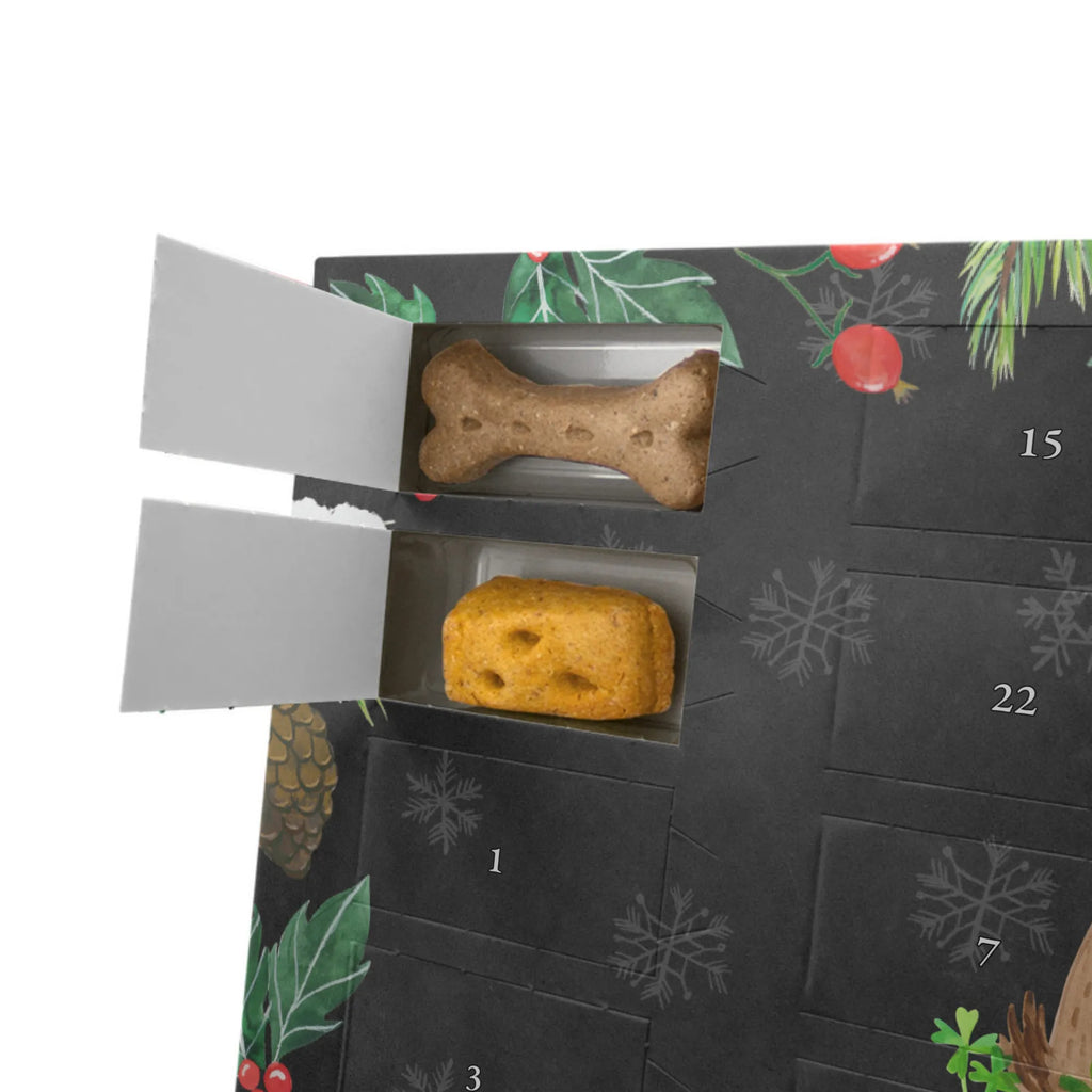 Dog advent calendar Dog shamrock Pets, Dogs Advent Calendar, dog breed, hound, bag with dog print, mutt, what do you give a dog lover, dog mama, Christmas gifts for dogs, dog decorative items, funny gifts for dog owners, dog sayings, love dogs, woof, love for dogs, gifts for dogs, cloverleaf, mindfulness, gift, lucky charm, self-love, new beginning