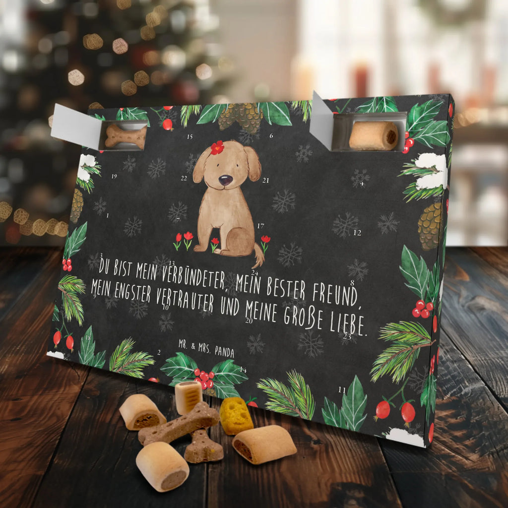 Hunde Adventskalender Hund Dame Hunde Adventskalender, Weihnachtskalender, Adventskalender für Hunde, Kalender, Hunderasse, Tierliebhaber, Hundemotiv, Haustier, Hundebesitzer, Hund, Sprüche, Hundeliebe, Hunde, Hundeglück, Frauchen, Liebe