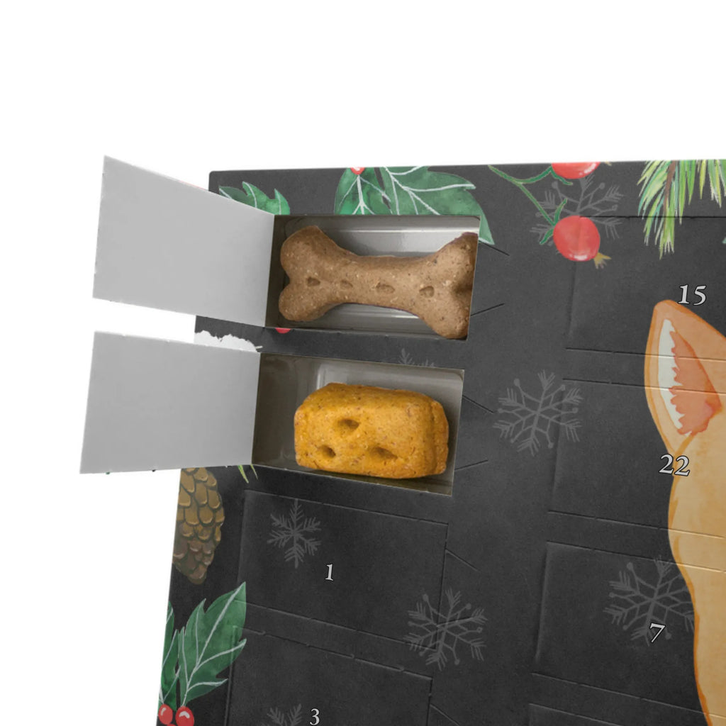  Corgi tyłek Pies, właściciel psa, rasa psa, miłośnik zwierząt, zwierzę domowe, motyw psa, powiedzenia