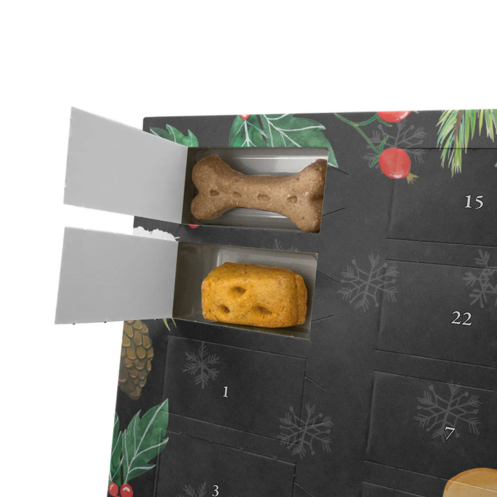 Dog advent calendar pug Crown Dogs Advent Calendar, Pets, dog breed, hound, bag with dog print, mutt, what do you give a dog lover, dog mama, Christmas gifts for dogs, dog decorative items, funny gifts for dog owners, dog sayings, love dogs, woof, love for dogs, gifts for dogs, childless, Pug, house rules, allergic, dog owners. Saying