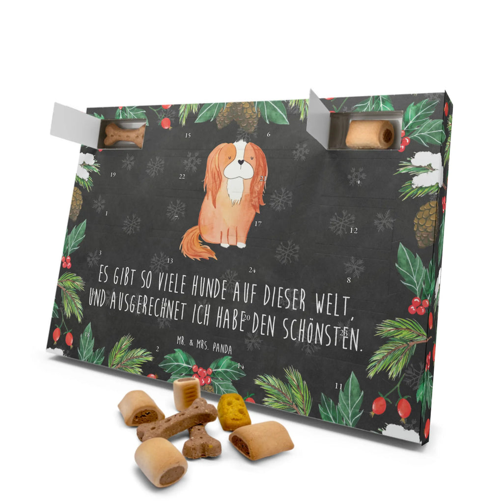 Hunde Adventskalender Hund Cavalier King Charles Spaniel Kalender, Weihnachtskalender, Hunde Adventskalender, Adventskalender für Hunde, Hunderasse, Tierliebhaber, Hundemotiv, Haustier, Hundebesitzer, Hund, Sprüche, Spruch, Schönster Hund, Cockerspaniel, Spaniel, Cavalier King Charles Spaniel