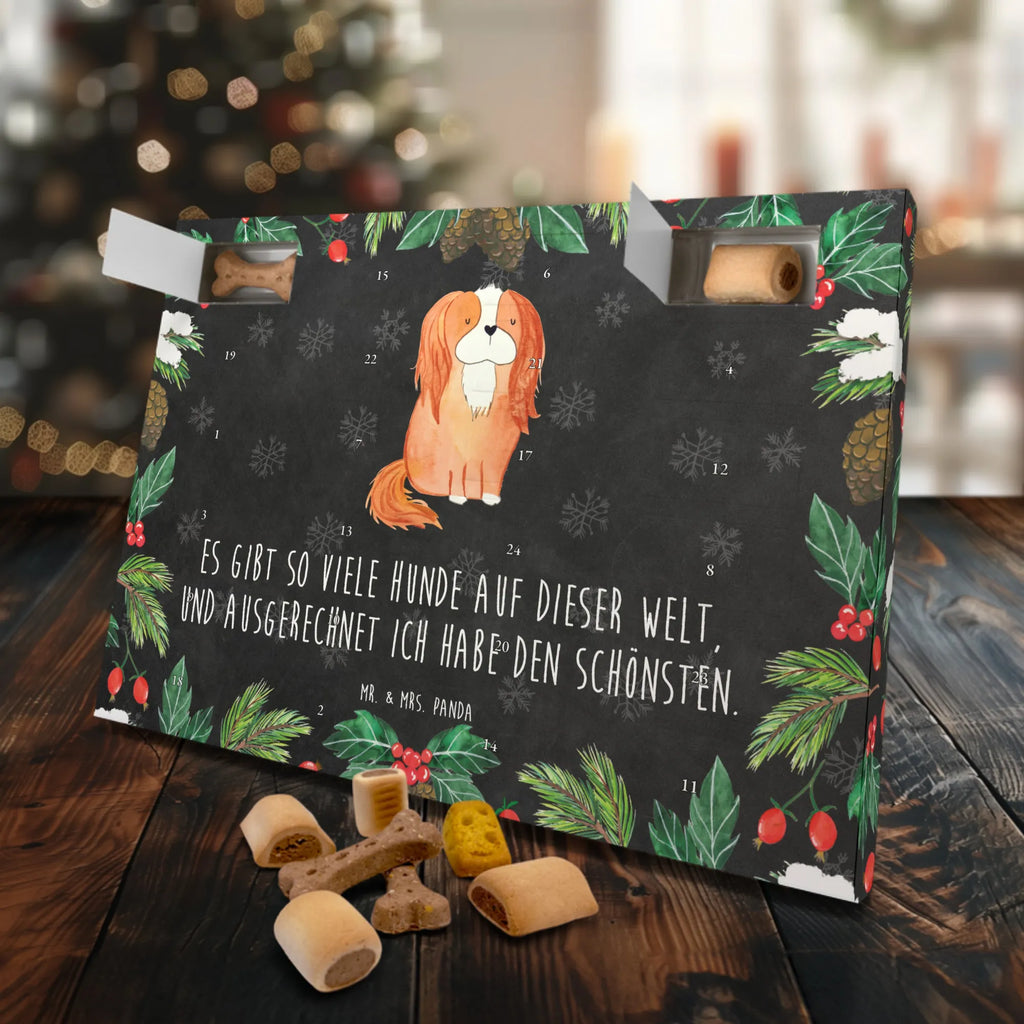 Hunde Adventskalender Hund Cavalier King Charles Spaniel Kalender, Weihnachtskalender, Hunde Adventskalender, Adventskalender für Hunde, Hunderasse, Tierliebhaber, Hundemotiv, Haustier, Hundebesitzer, Hund, Sprüche, Spruch, Schönster Hund, Cockerspaniel, Spaniel, Cavalier King Charles Spaniel