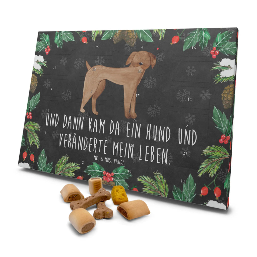 Dog advent calendar Dog mastiff Dogs Advent Calendar, Pets, dog breed, hound, bag with dog print, mutt, what do you give a dog lover, dog mama, Christmas gifts for dogs, dog decorative items, funny gifts for dog owners, dog sayings, love dogs, woof, love for dogs, gifts for dogs, Dogs