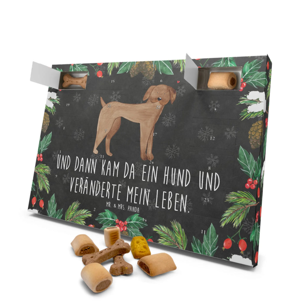 Dog advent calendar Dog mastiff Dogs Advent Calendar, Pets, dog breed, hound, bag with dog print, mutt, what do you give a dog lover, dog mama, Christmas gifts for dogs, dog decorative items, funny gifts for dog owners, dog sayings, love dogs, woof, love for dogs, gifts for dogs, Dogs