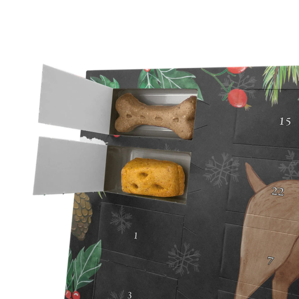 Dog advent calendar Dog mastiff Dogs Advent Calendar, Pets, dog breed, hound, bag with dog print, mutt, what do you give a dog lover, dog mama, Christmas gifts for dogs, dog decorative items, funny gifts for dog owners, dog sayings, love dogs, woof, love for dogs, gifts for dogs, Dogs