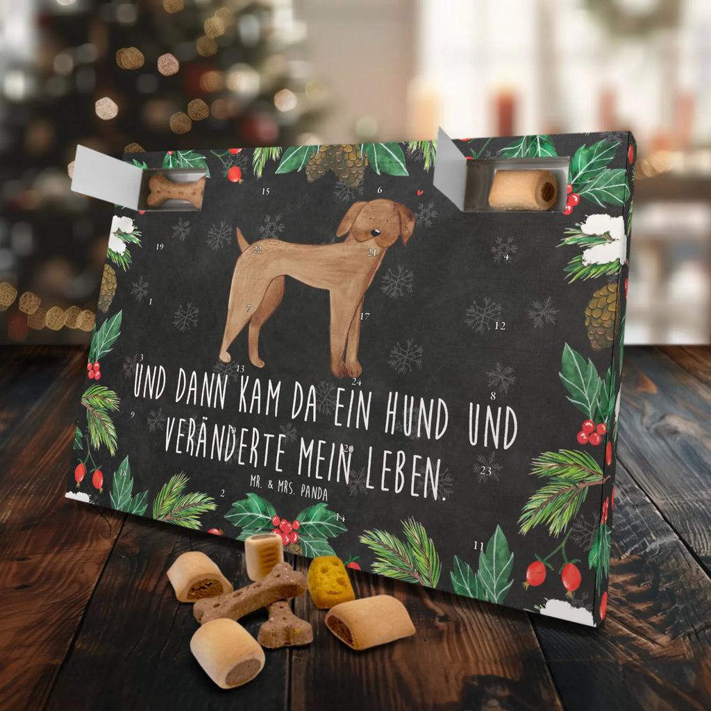 Hunde Adventskalender Hund Dogge Weihnachtskalender, Adventskalender für Hunde, Hunde Adventskalender, Kalender, Hunderasse, Tierliebhaber, Hundemotiv, Haustier, Hundebesitzer, Hund, Sprüche, Great Dane, Hunde, Deutsche Dogge, Dogge