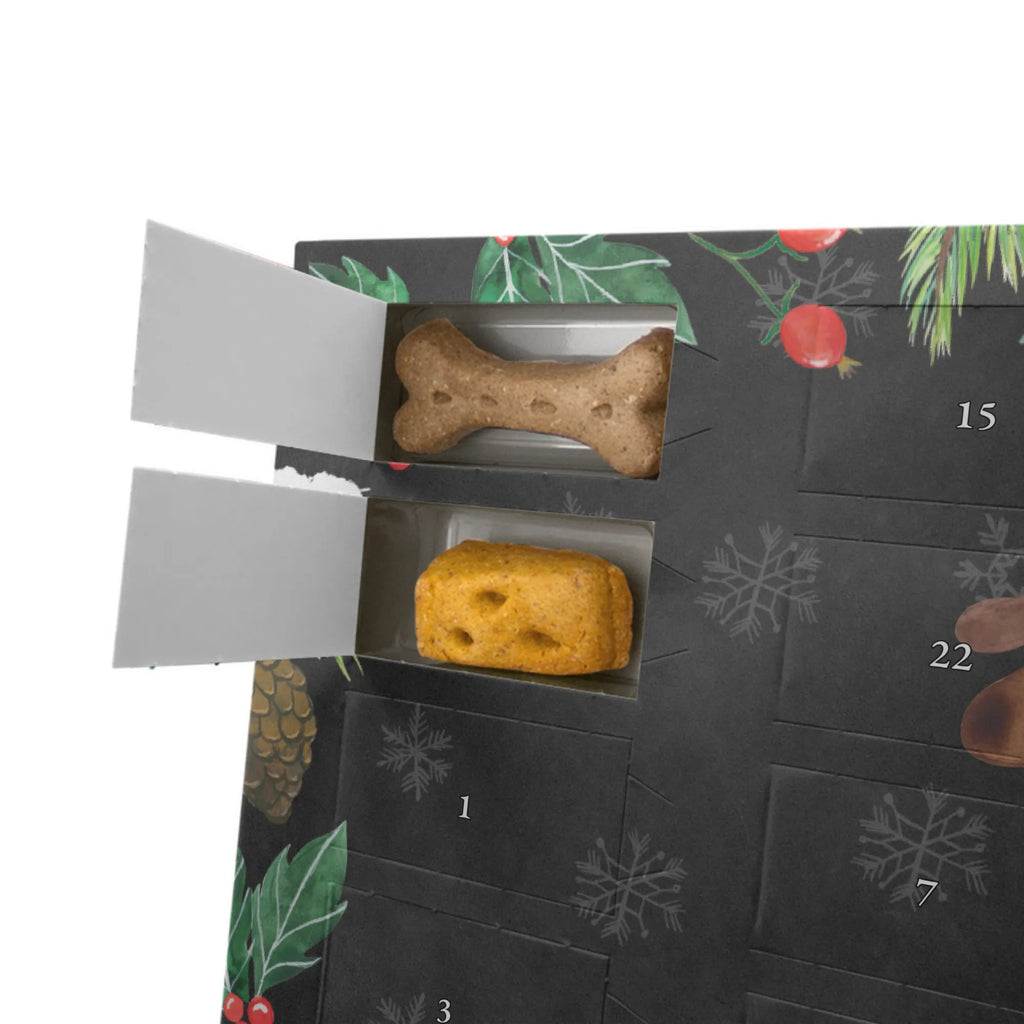 Dog advent calendar Dog biscuit Dogs Advent Calendar, Pets, dog breed, hound, bag with dog print, mutt, what do you give a dog lover, dog mama, Christmas gifts for dogs, dog decorative items, funny gifts for dog owners, dog sayings, love dogs, woof, love for dogs, gifts for dogs, dog treats, treats, dog snacks, dog biscuits