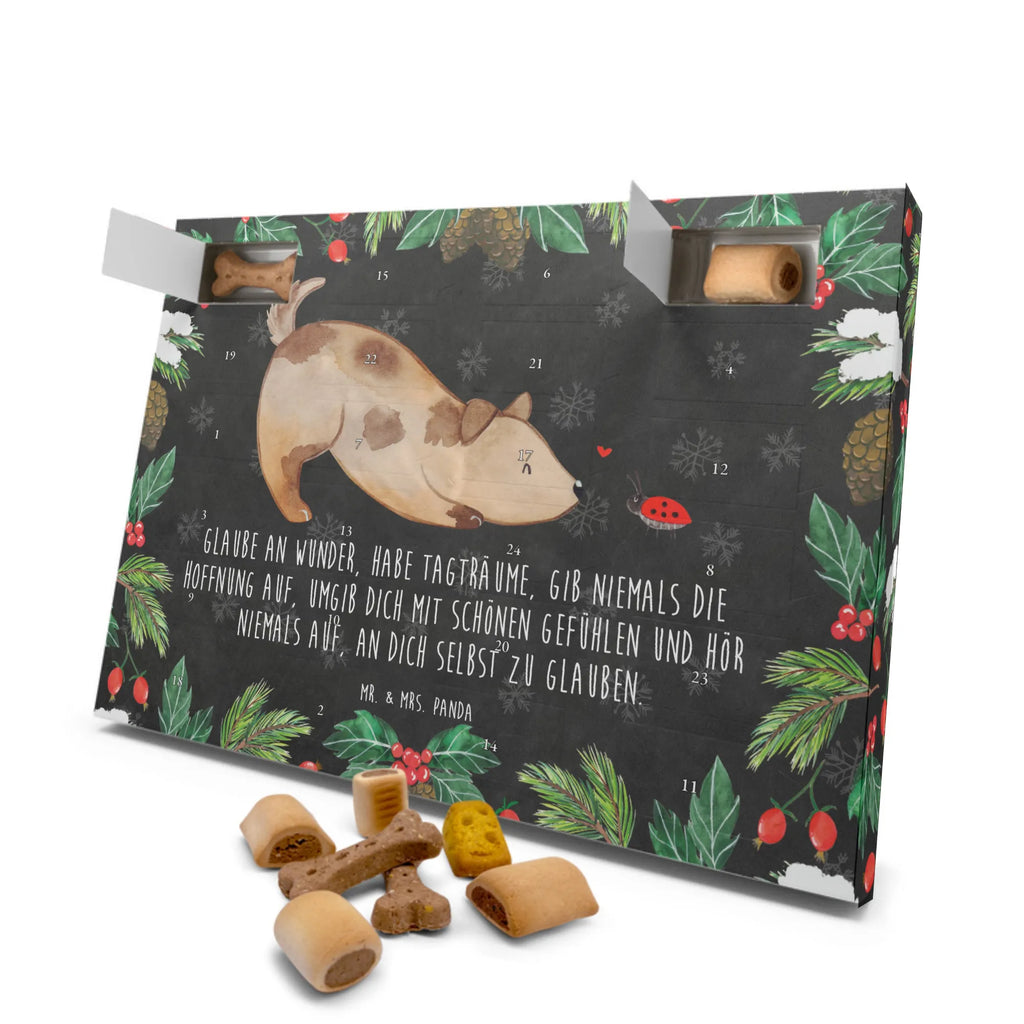 Dog advent calendar Dog ladybug Dogs Advent Calendar, Pets, dog breed, hound, bag with dog print, mutt, what do you give a dog lover, dog mama, Christmas gifts for dogs, dog decorative items, funny gifts for dog owners, dog sayings, love dogs, woof, love for dogs, gifts for dogs, Dog slogan, Mongrel dog, Dogs, Sayings, Ladybird, Mongrel