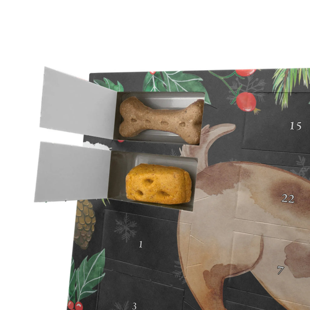 Dog advent calendar Dog ladybug Dogs Advent Calendar, Pets, dog breed, hound, bag with dog print, mutt, what do you give a dog lover, dog mama, Christmas gifts for dogs, dog decorative items, funny gifts for dog owners, dog sayings, love dogs, woof, love for dogs, gifts for dogs, Dog slogan, Mongrel dog, Dogs, Sayings, Ladybird, Mongrel