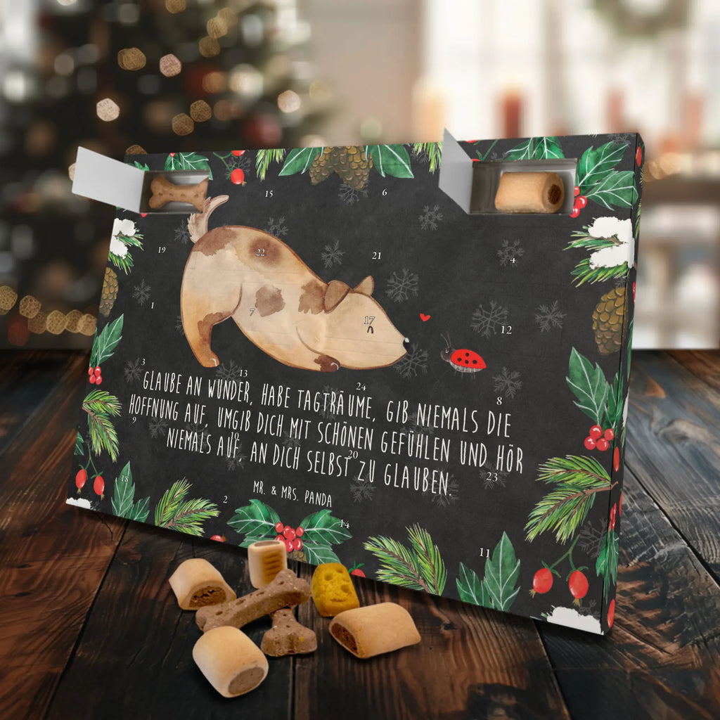 Dog advent calendar Dog ladybug Dogs Advent Calendar, Pets, dog breed, hound, bag with dog print, mutt, what do you give a dog lover, dog mama, Christmas gifts for dogs, dog decorative items, funny gifts for dog owners, dog sayings, love dogs, woof, love for dogs, gifts for dogs, Dog slogan, Mongrel dog, Dogs, Sayings, Ladybird, Mongrel