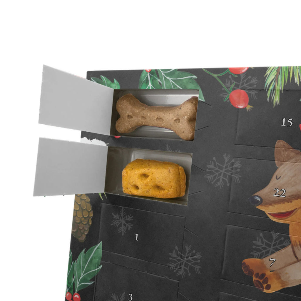 Dog advent calendar Dog dachshund Dogs Advent Calendar, Pets, dog breed, hound, bag with dog print, mutt, what do you give a dog lover, dog mama, Christmas gifts for dogs, dog decorative items, funny gifts for dog owners, dog sayings, love dogs, woof, love for dogs, gifts for dogs, dogs