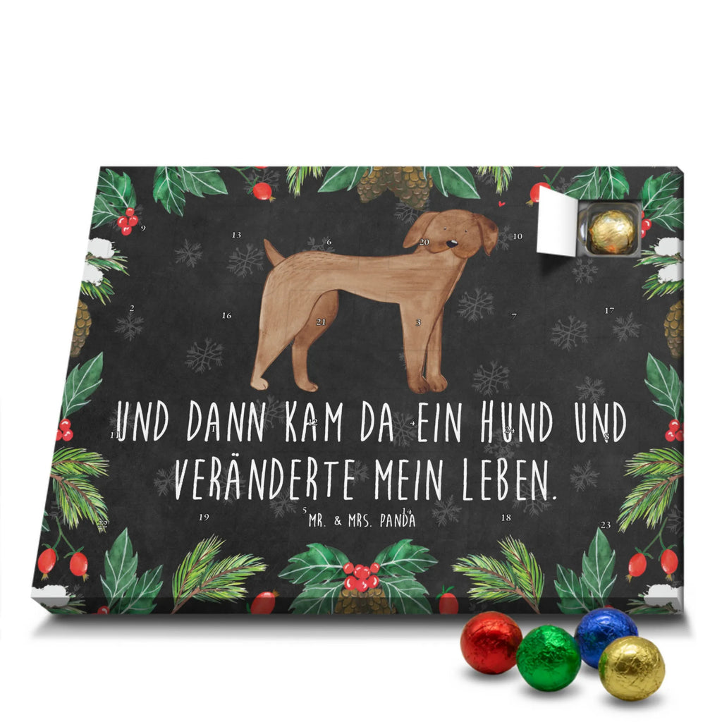Chocolate advent calendar Dog mastiff mutt, dog sayings, love dogs, dog mama, funny gifts for dog owners, woof, what do you give a dog lover, dog breed, Christmas gifts for dogs, gifts for dogs, bag with dog print, love for dogs, hound, dog decorative items, Dogs