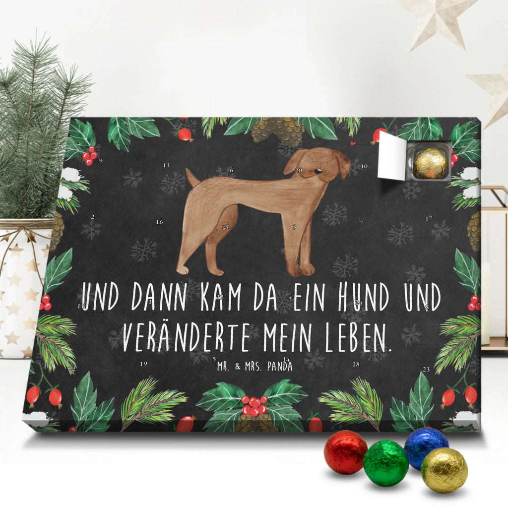 Chocolate advent calendar Dog mastiff mutt, dog sayings, love dogs, dog mama, funny gifts for dog owners, woof, what do you give a dog lover, dog breed, Christmas gifts for dogs, gifts for dogs, bag with dog print, love for dogs, hound, dog decorative items, Dogs
