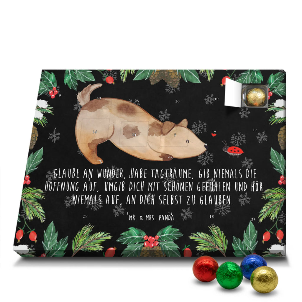 pralinen adventskalender Hund Marienkäfer kalender weihnachten, schokolade adventskalender, Schokoladen-Weihnachtskalender, Weihnachtskalender Schokolade, Schokoladen Adventskalender, Schoko Adventskalender, Adventskalender, adventskalender süßigkeiten, süßigkeiten kalender, schokokalender, adventskalender schoko, schokoladen kalender, weihnachtskalender schoko, Weihnachtskalender, Weihnachten Adventskalender, schokoladenkalender, Weihnachts Kalender, Schoko-Adventskalender, pralinen adventskalender, Adventskalender Schokolade, kalender schokolade, süßigkeiten adventskalender, schoko kalender, Schokoladen-Adventskalender, schoko weihnachtskalender, adventskalender pralinen, Tierliebhaber, Haustier, Hundebesitzer, Sprüche, Hund, Hunderasse, Hundemotiv, Marienkäfer, Mischling, Hunde, Hundespruch, Mischlinghund