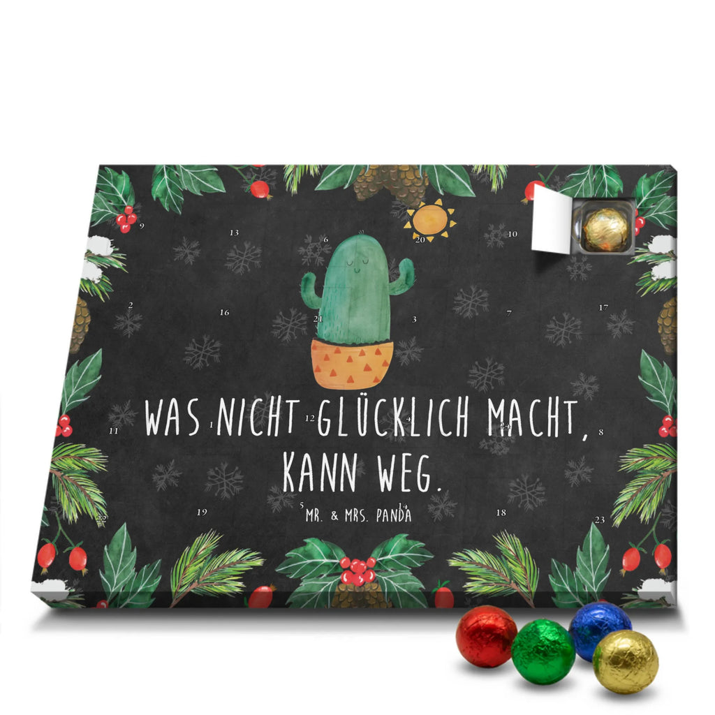  Kaktus Słońce Kaktusy