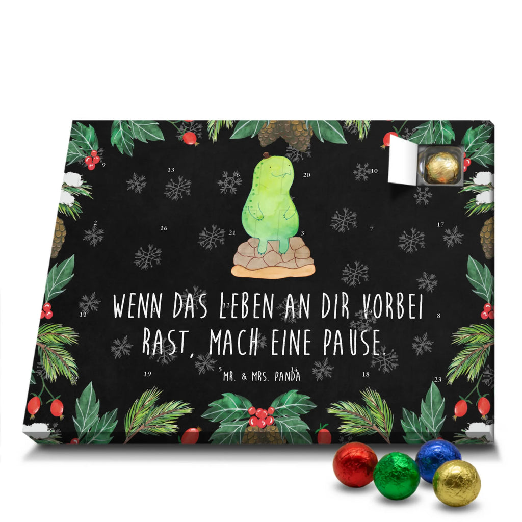  żółw Przerwa Skałka