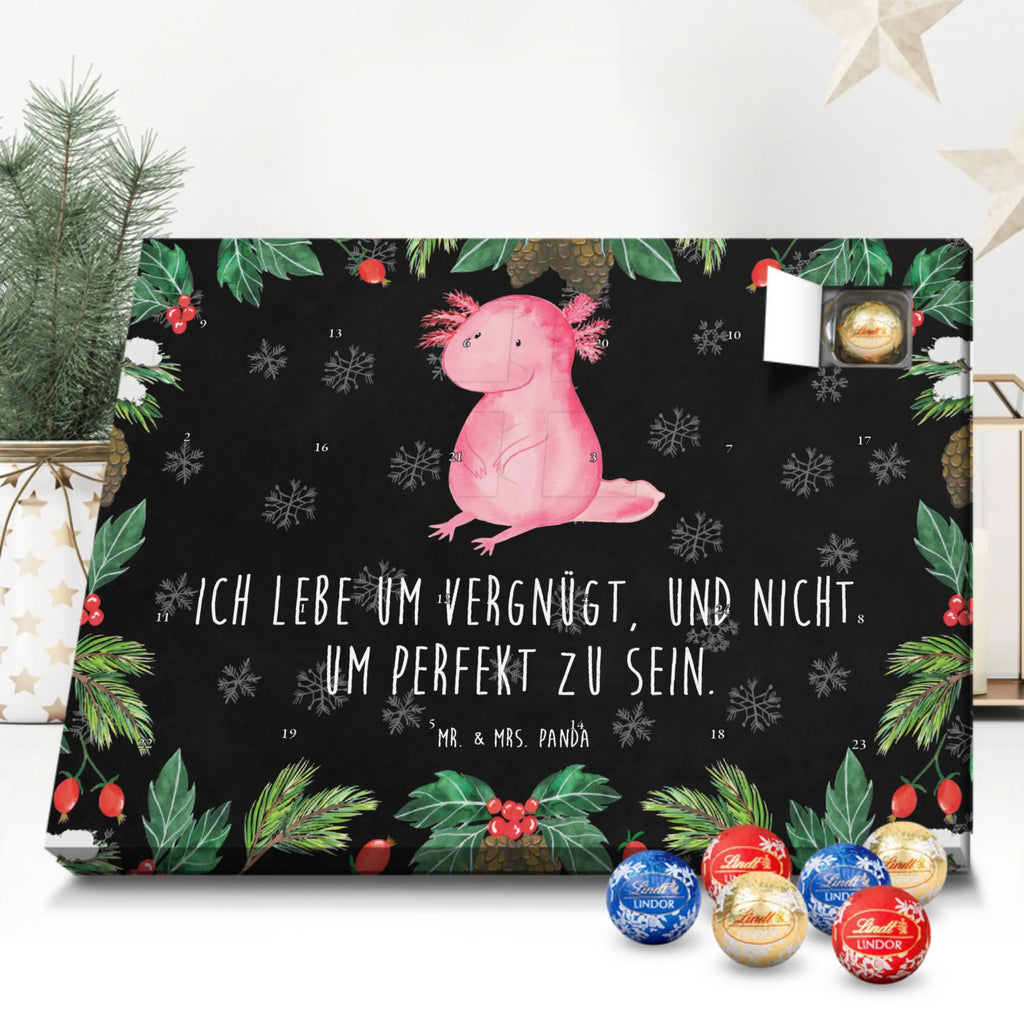 Chocolate advent calendar axolotl zero Mexican walking fish, Axelotl, marine animals, salamander, lifestyle, girlfriend, cheerful, contented, worldly wisdom, wisdom