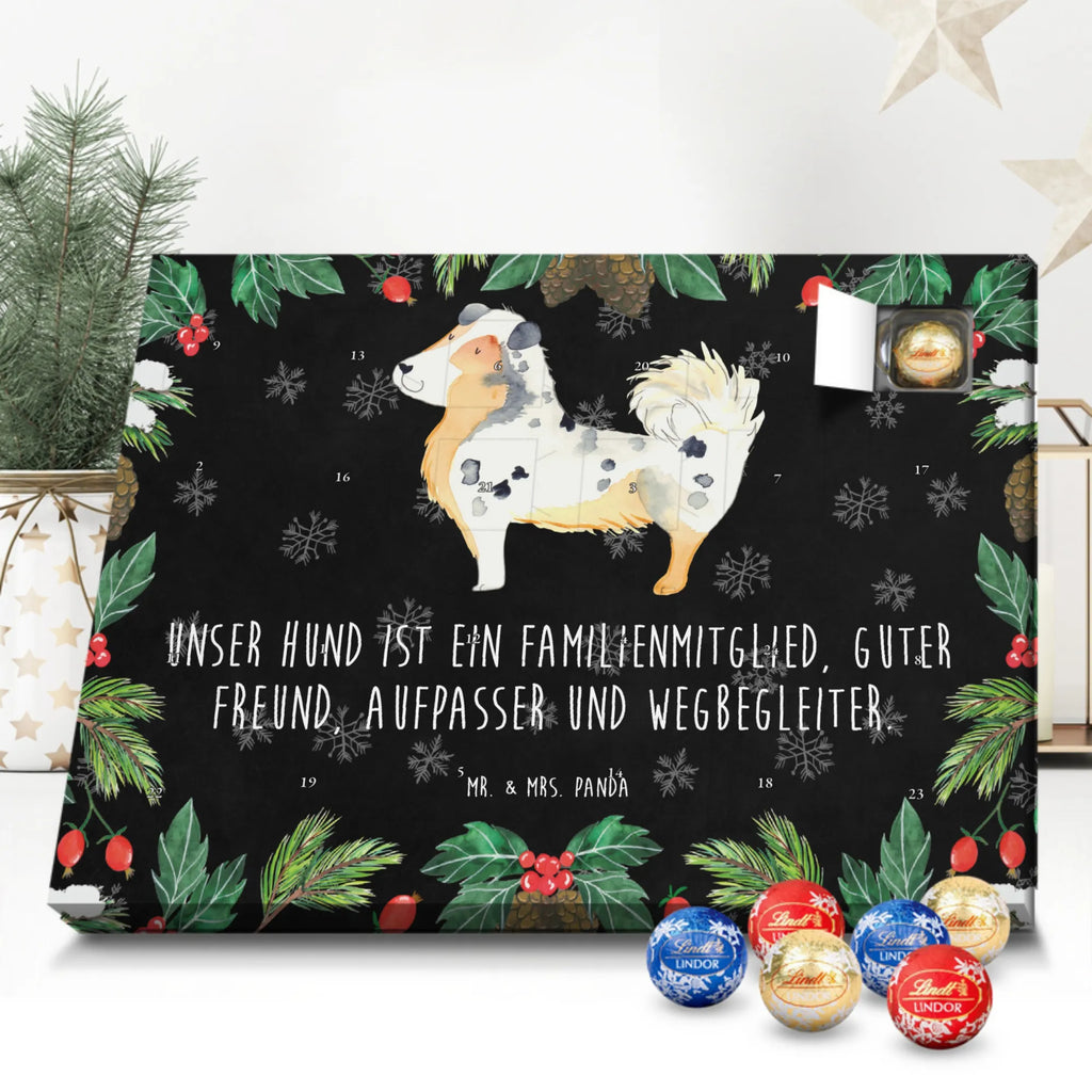 Chocolate advent calendar Dog Australia Shepherd mutt, dog sayings, love dogs, dog mama, funny gifts for dog owners, woof, what do you give a dog lover, dog breed, Christmas gifts for dogs, gifts for dogs, bag with dog print, love for dogs, hound, dog decorative items, Dog love, Australia Shepherd, Family dog, Saying, Sayings
