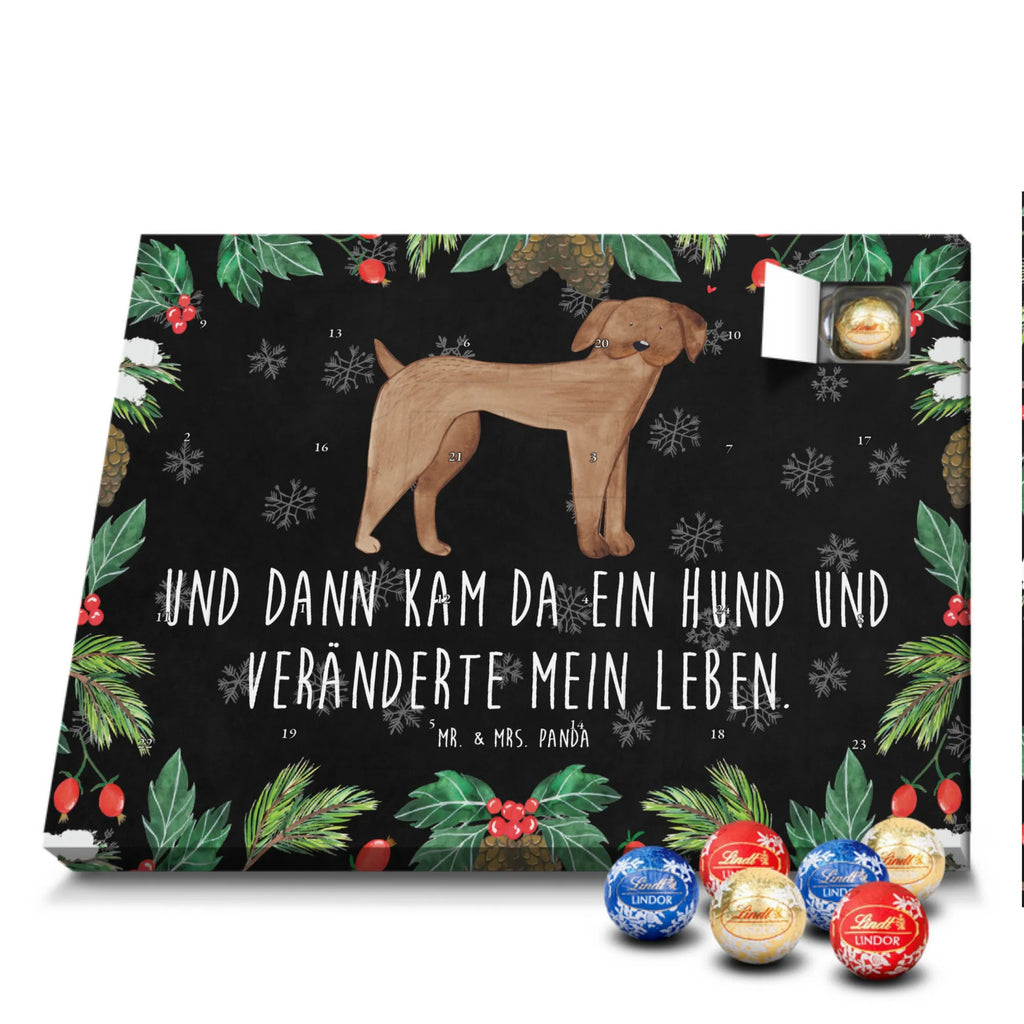 Chocolate advent calendar Dog mastiff mutt, dog sayings, love dogs, dog mama, funny gifts for dog owners, woof, what do you give a dog lover, dog breed, Christmas gifts for dogs, gifts for dogs, bag with dog print, love for dogs, hound, dog decorative items, Dogs