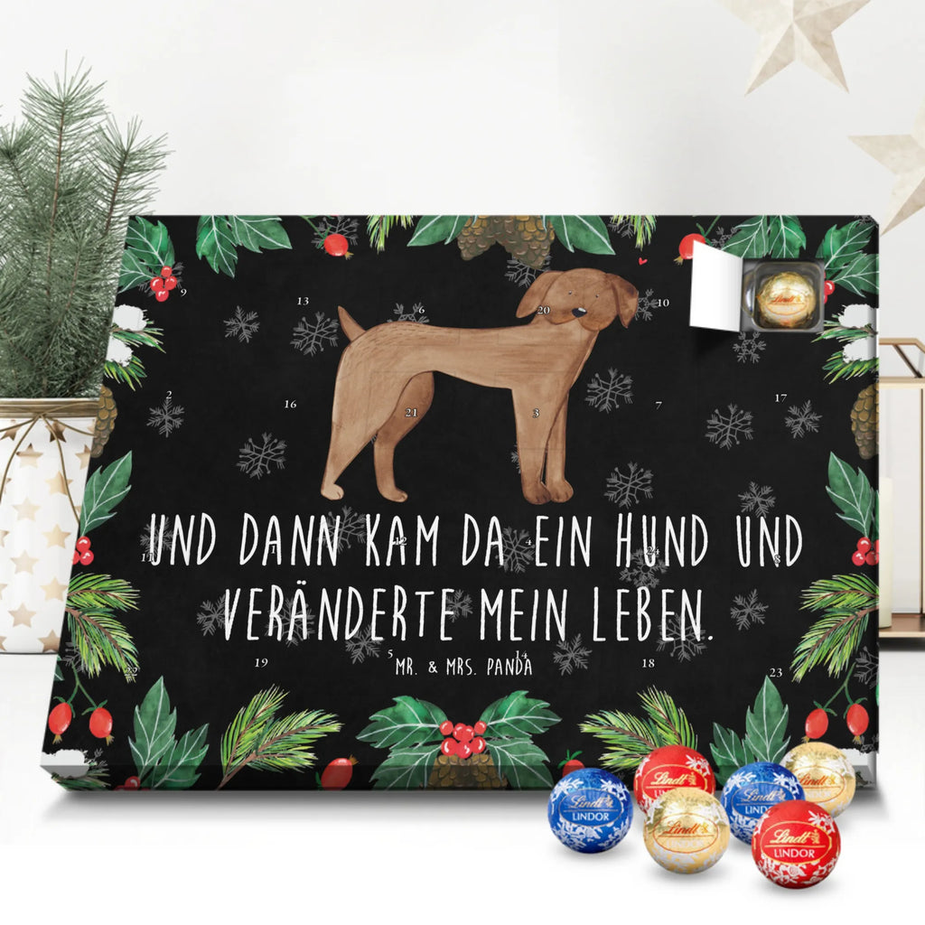 Chocolate advent calendar Dog mastiff mutt, dog sayings, love dogs, dog mama, funny gifts for dog owners, woof, what do you give a dog lover, dog breed, Christmas gifts for dogs, gifts for dogs, bag with dog print, love for dogs, hound, dog decorative items, Dogs