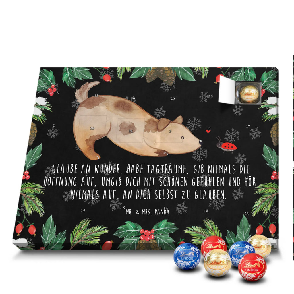 Chocolate advent calendar Dog ladybug mutt, dog sayings, love dogs, dog mama, funny gifts for dog owners, woof, what do you give a dog lover, dog breed, Christmas gifts for dogs, gifts for dogs, bag with dog print, love for dogs, hound, dog decorative items, Mongrel dog, Dog slogan, Ladybird, Sayings, Mongrel, Dogs