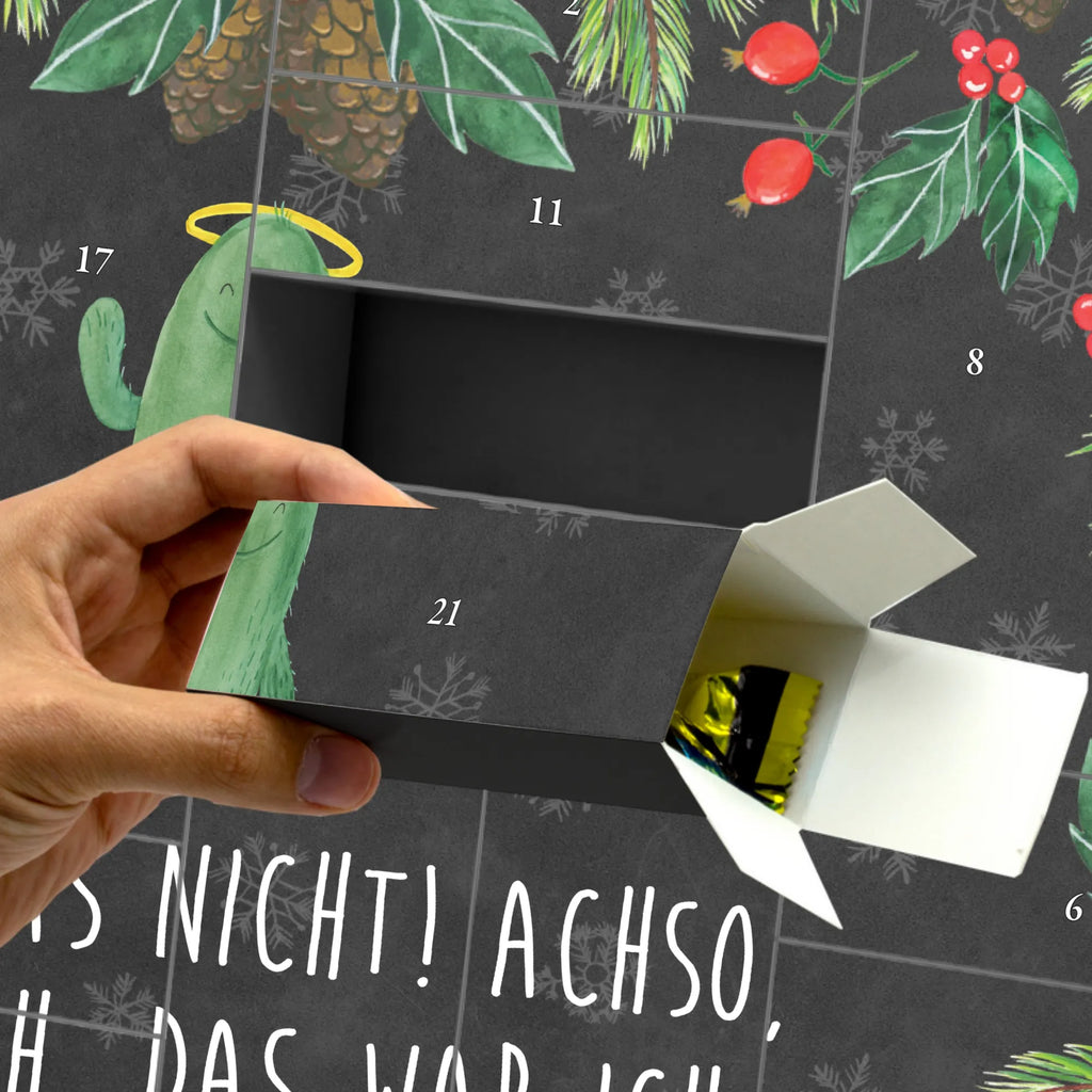  Kaktus Święty Kaktusy